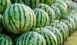 各种网红爆料吃瓜群,吃瓜群里的娱乐圈风云录